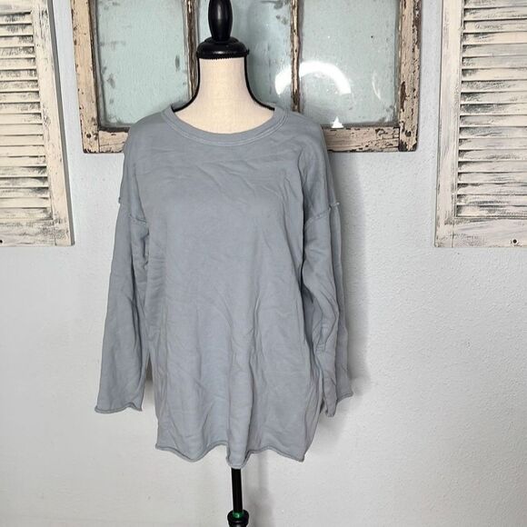 Eileen Fisher Womens Sweatshirt Boxy Tunic Crewneck Blue Size Extra Small NWT - Picture 1 of 12